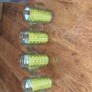 LAST CHANCE Cactus mason glasses